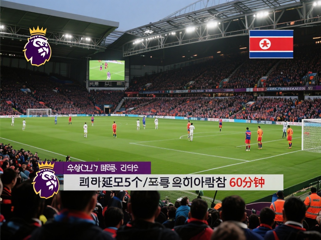 不仅展示了 不仅展示了